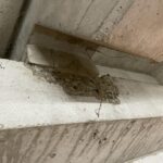 Diensten-Betonreparatie-Betonreparatie parkeer garage-WhatsApp Image 2022-11-01 at 09.58.36 (1)