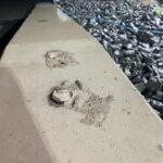 Diensten-Betonreparatie-Rail-WhatsApp Image 2022-11-01 at 09.52.55 (1)